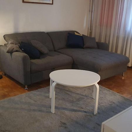 Apartment Sretni Dimnjacar Όσιγιεκ Εξωτερικό φωτογραφία